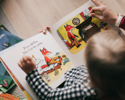 Storytelling Picture Books